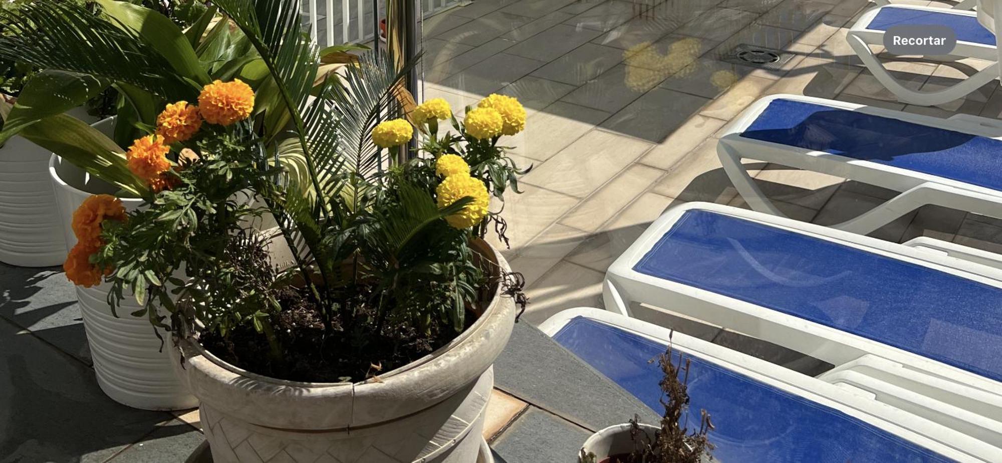 Ancla Real Apartamentos Loft Эль-Пуэрто-де-Санта-Мария Экстерьер фото
